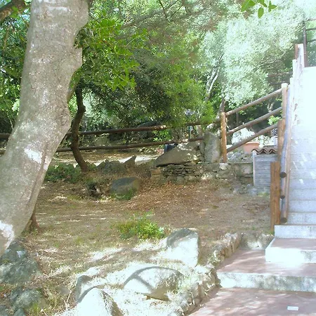 Residenza Arnica * Porto Rotondo