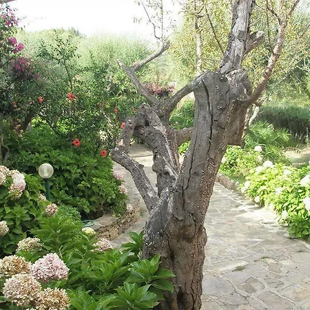 Residenza Arnica * Porto Rotondo