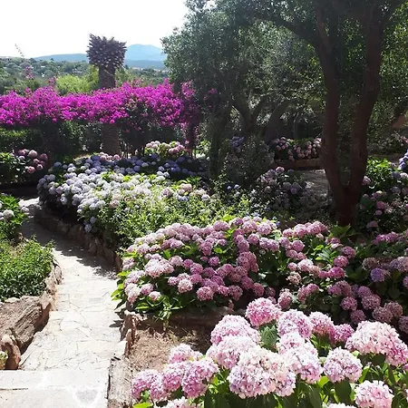 Residenza Arnica Appartamento *