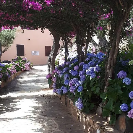 Residenza Arnica * Porto Rotondo