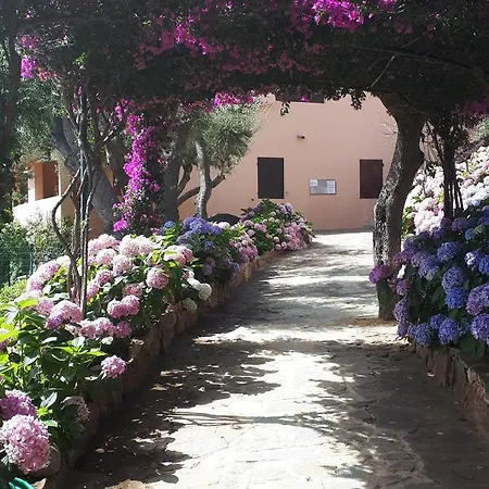 Residenza Arnica Porto Rotondo